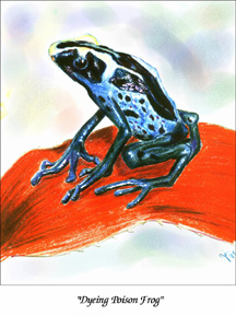 frogZ.jpg (42077 bytes)